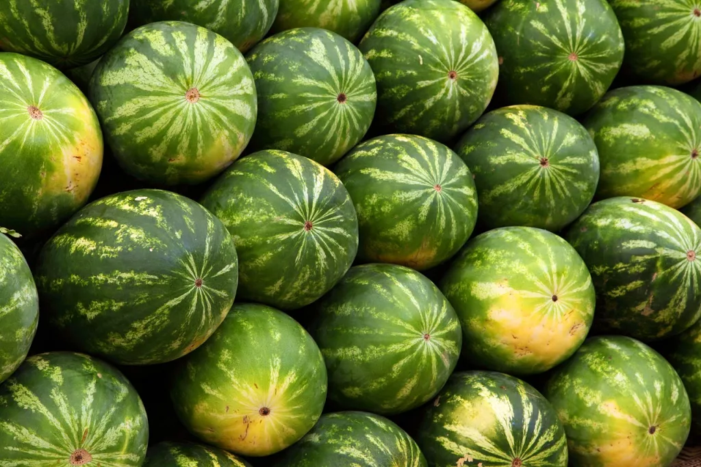 découvrez le marché des machines, un secteur en pleine expansion où innovation et technologie se rencontrent. explorez les dernières tendances, les acteurs clés et les opportunités d'investissement pour optimiser vos opérations industrielles.